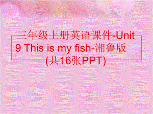 【精品】三年级上册英语课件-Unit 9 This is my fish-湘鲁版(共16张PPT)（可编辑）