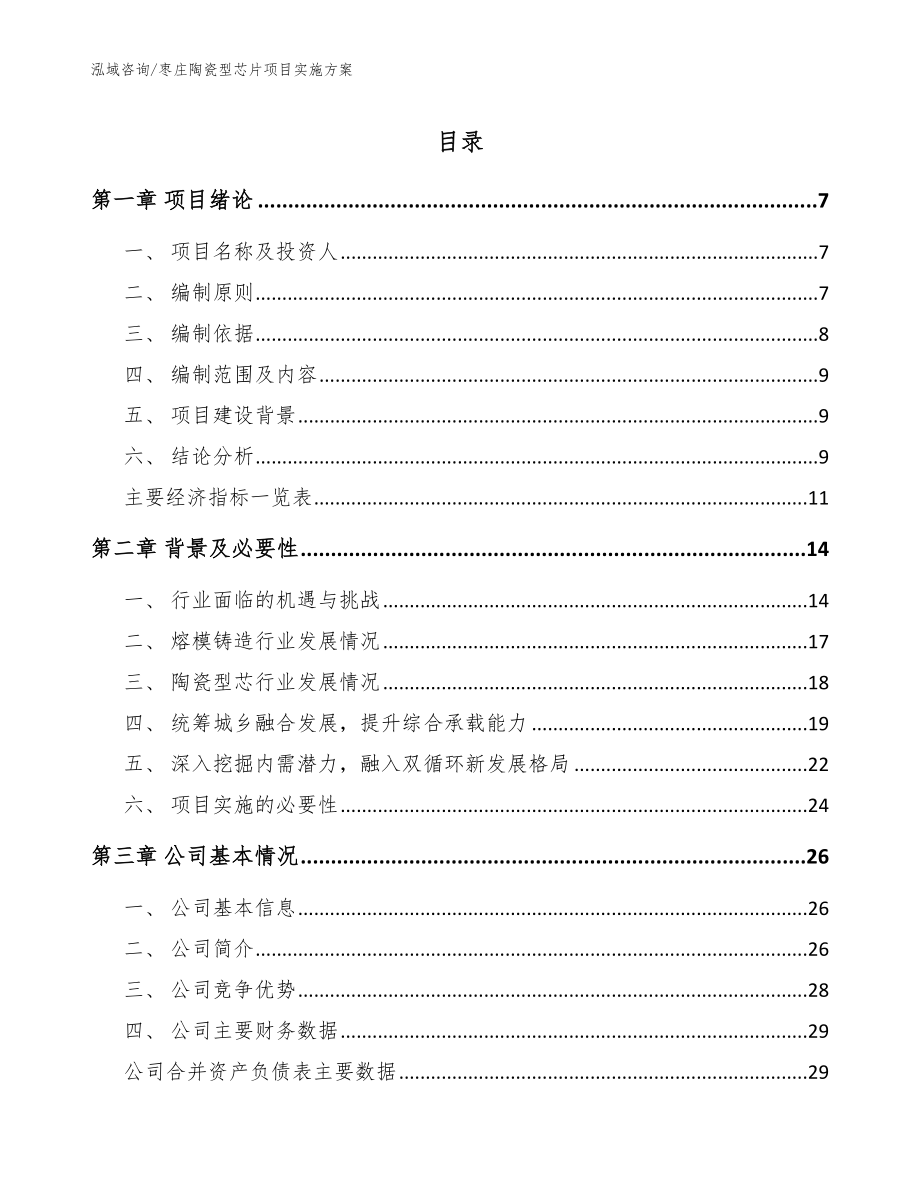 枣庄陶瓷型芯片项目实施方案【模板参考】_第1页