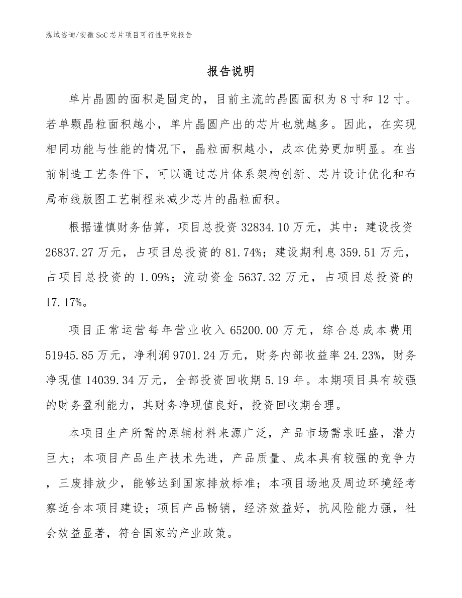 安徽SoC芯片项目可行性研究报告_第1页