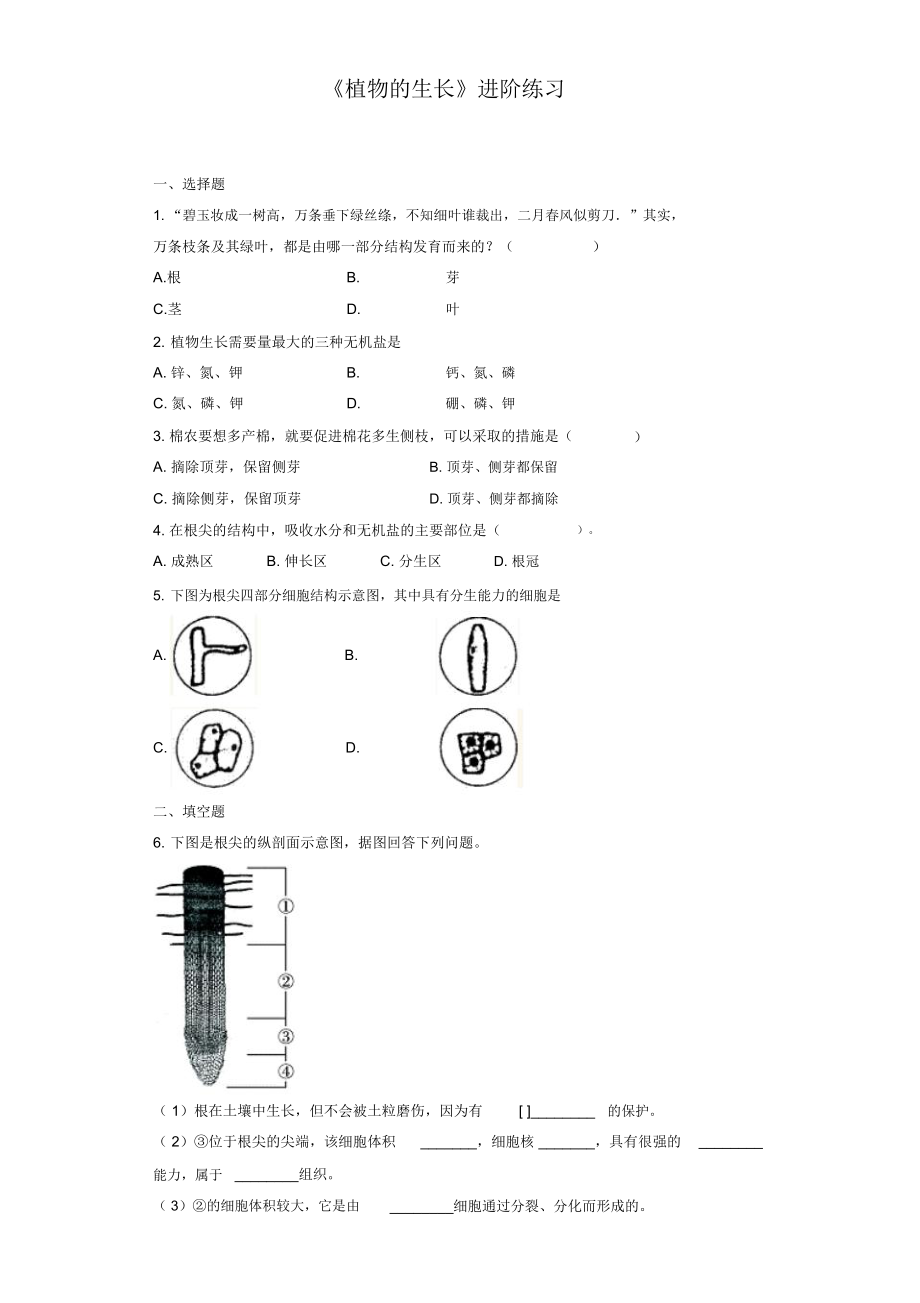 《植物的生長(zhǎng)》進(jìn)階練習(xí)(一)_第1頁(yè)