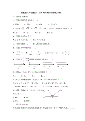 【湘教版】八年级数学上期末测评综合复习试卷(含答案)