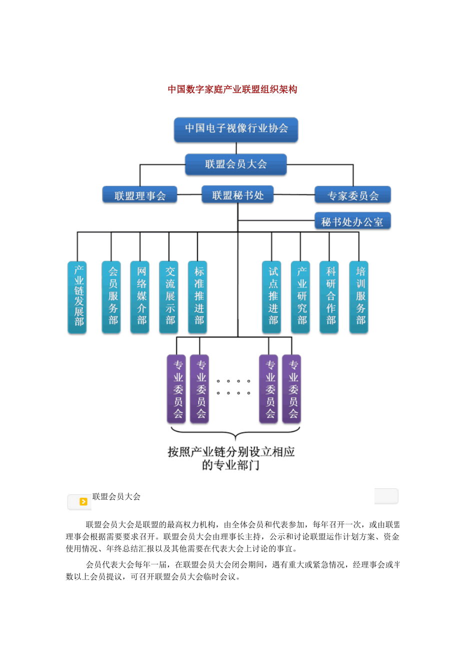 中国数字家庭产业联盟组织架构_第1页