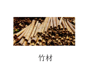 造型材料与成型工艺竹材.ppt