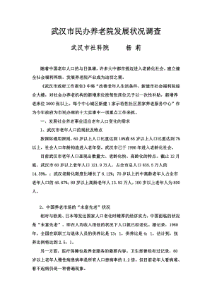 武汉市民办养老院发展状况调查
