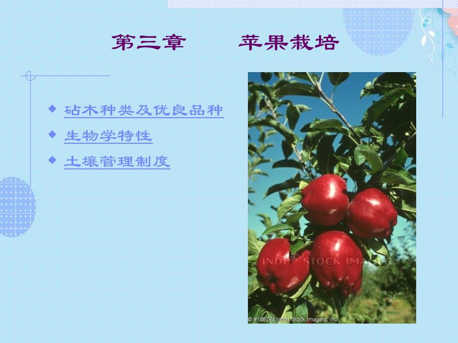 苹果栽培PPT文档(完整版)课件_第1页