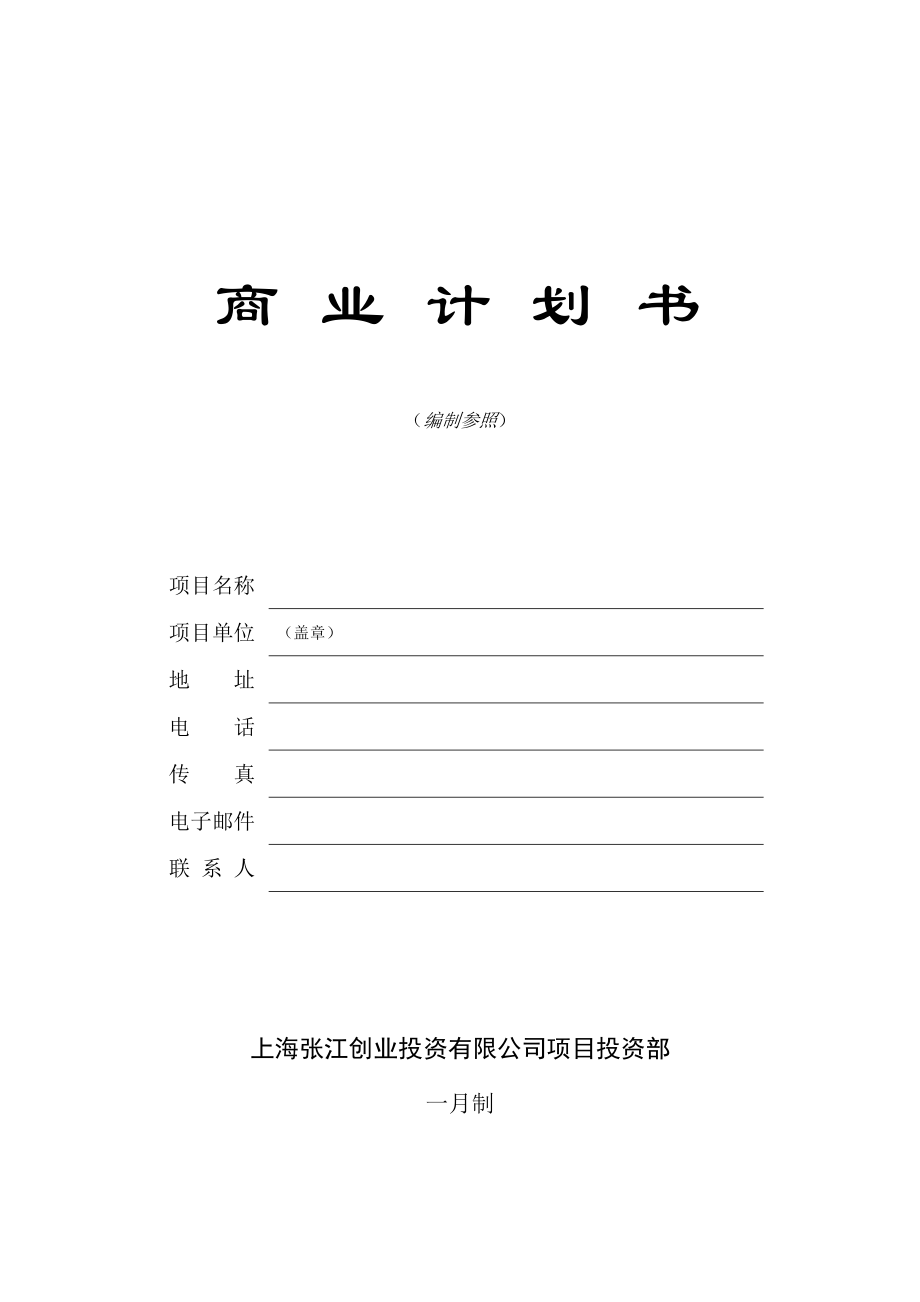 上海张江投资创业商业综合计划书模板_第1页