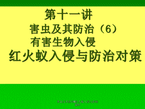 害虫及其防治6红火蚁入侵与控制课件