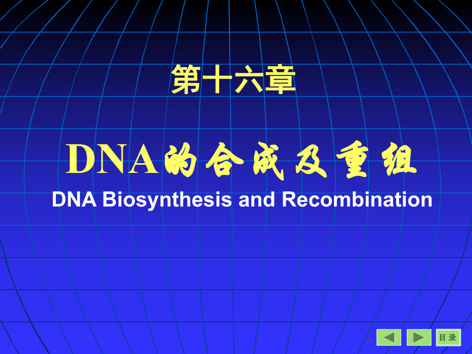 第16章DNA的生物合成和损伤修复_第1页