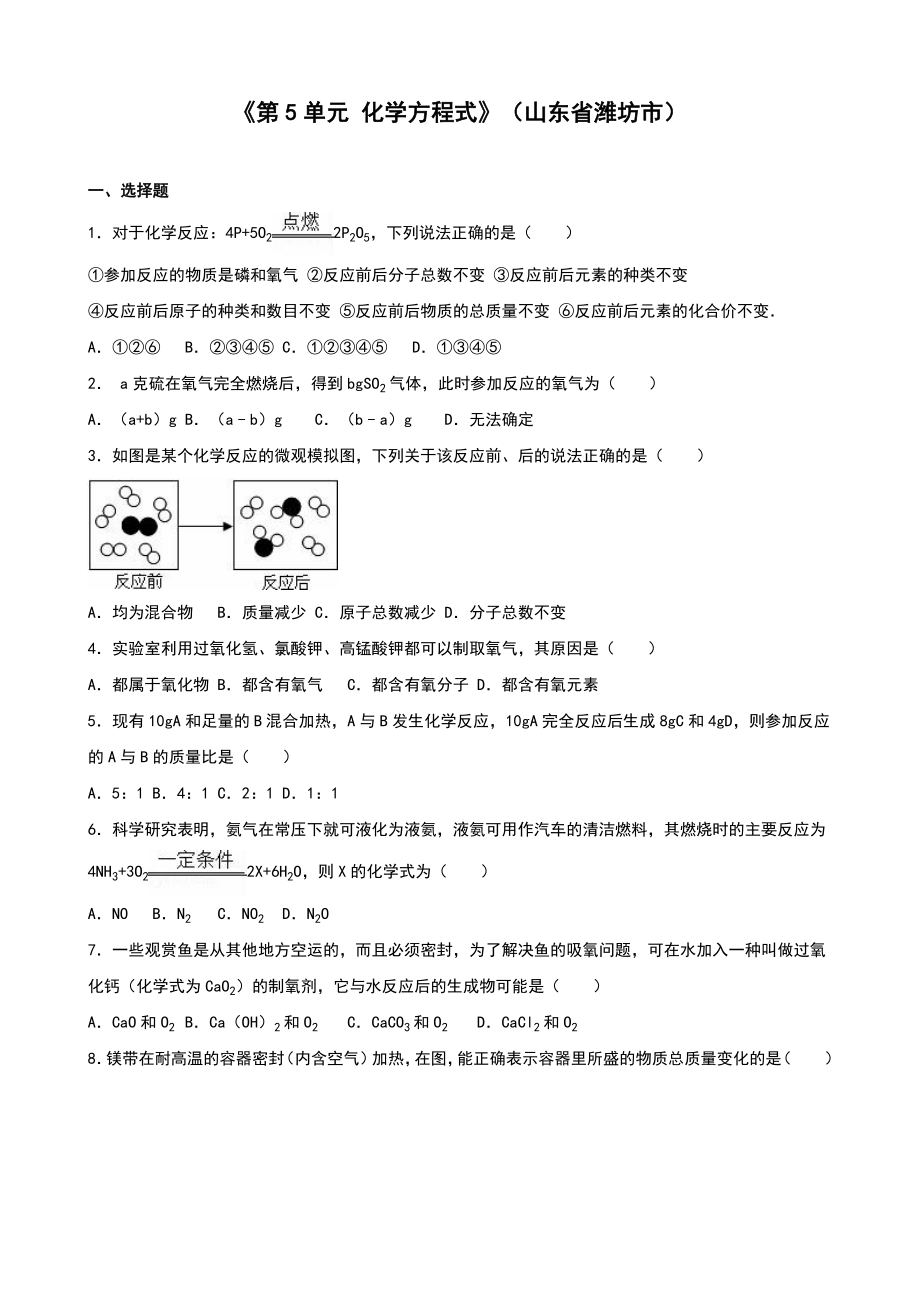 人教版九年级化学上册单元测试《第5单元 化学方程式》（山东省潍坊市）（解析版）_第1页