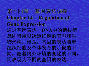 【教学课件】第十四章基因表达调控Chapter14RegulationofGene