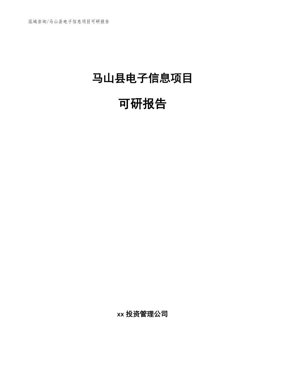 马山县电子信息项目可研报告_第1页