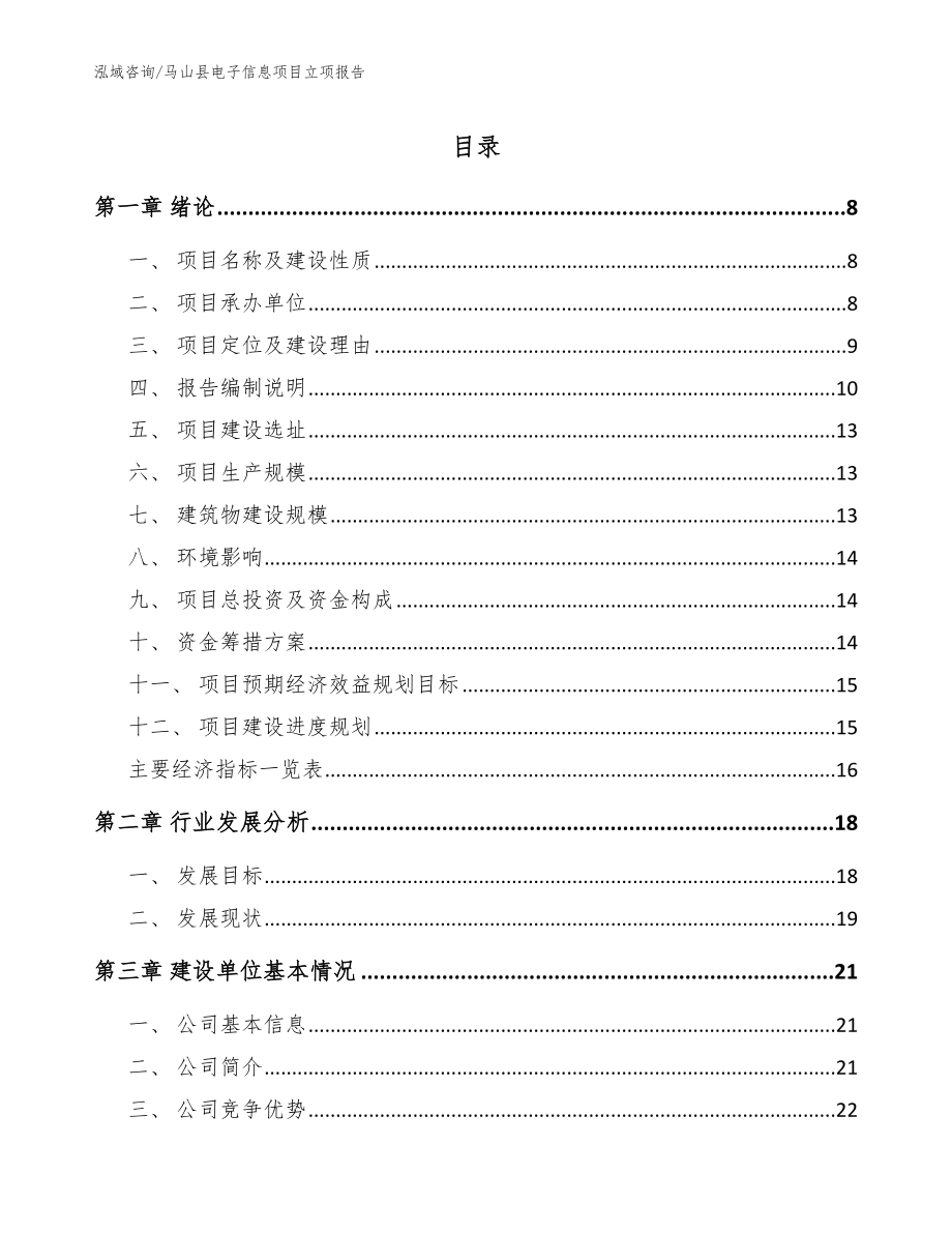 马山县电子信息项目立项报告模板范文_第1页