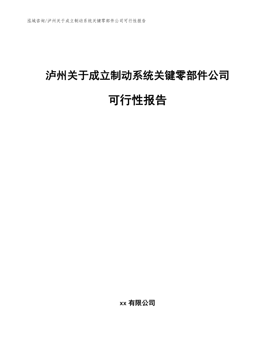 泸州关于成立制动系统关键零部件公司可行性报告（模板范本）_第1页