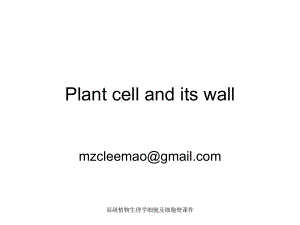 高级植物生理学细胞及细胞壁课件
