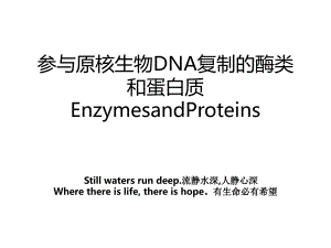参与原核生物DNA复制的酶类和蛋白质EnzymesandProteins