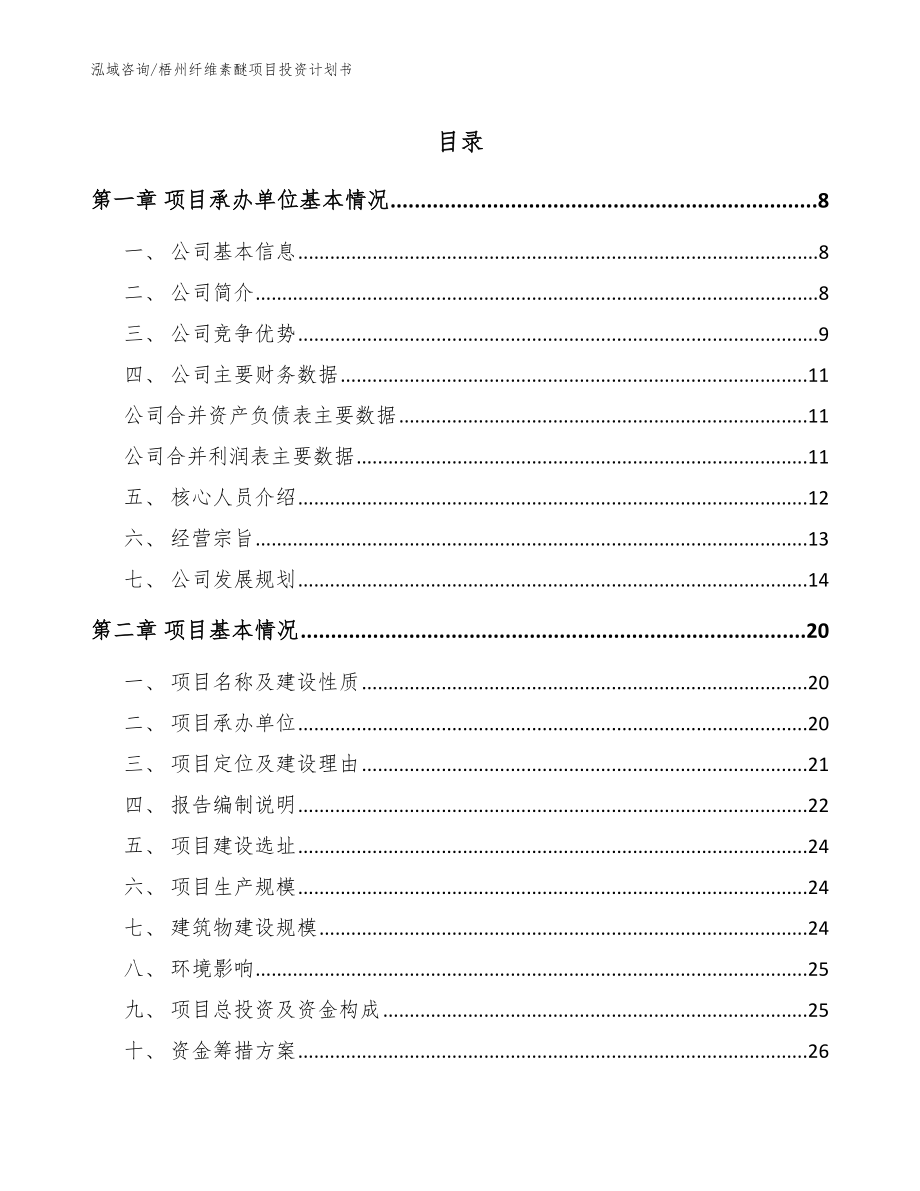 梧州纤维素醚项目投资计划书（范文参考）_第1页