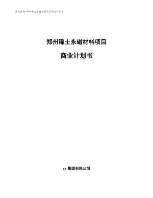 郑州稀土永磁材料项目商业计划书（参考模板）