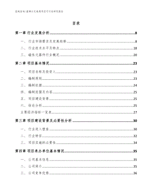 盘锦片式电感项目可行性研究报告