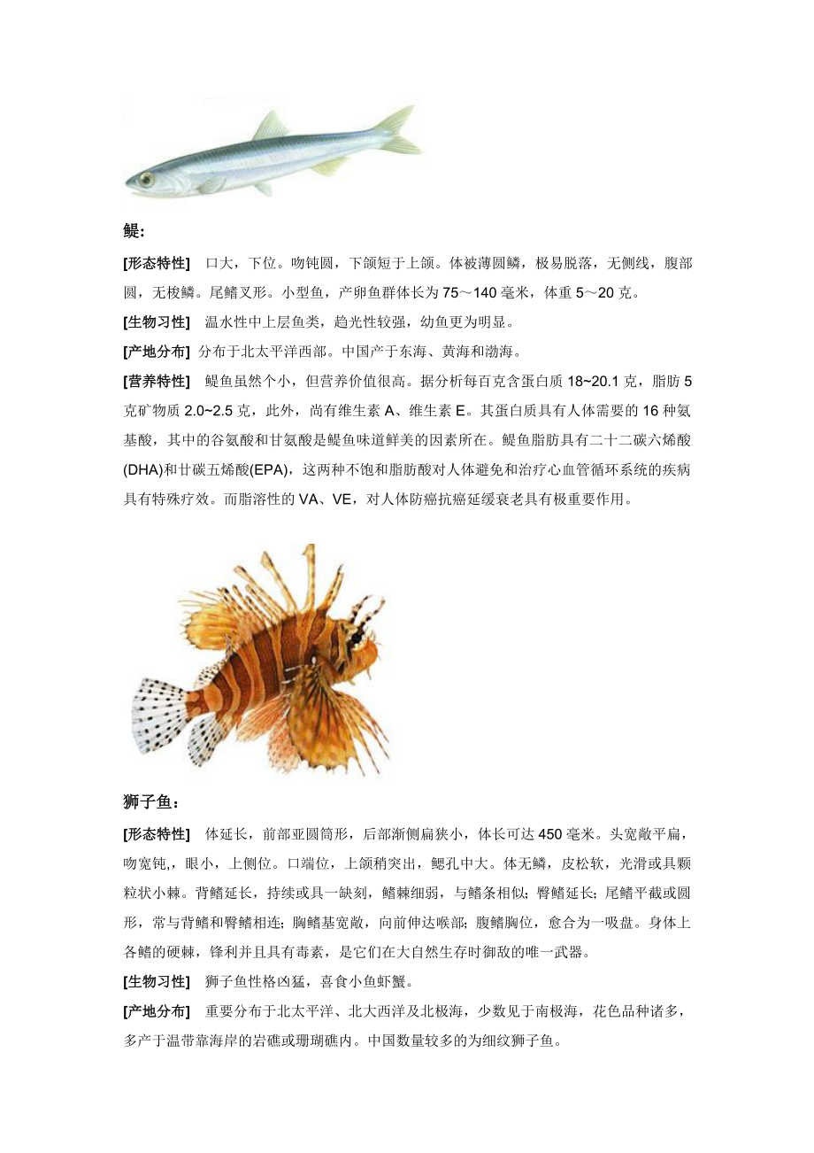 各种海鲜鱼类的介绍_第1页