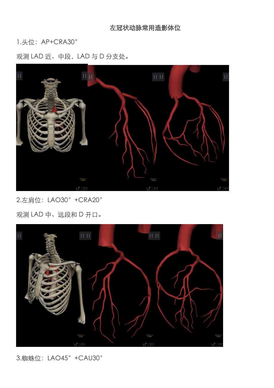 冠脉造影常用体位_第1页