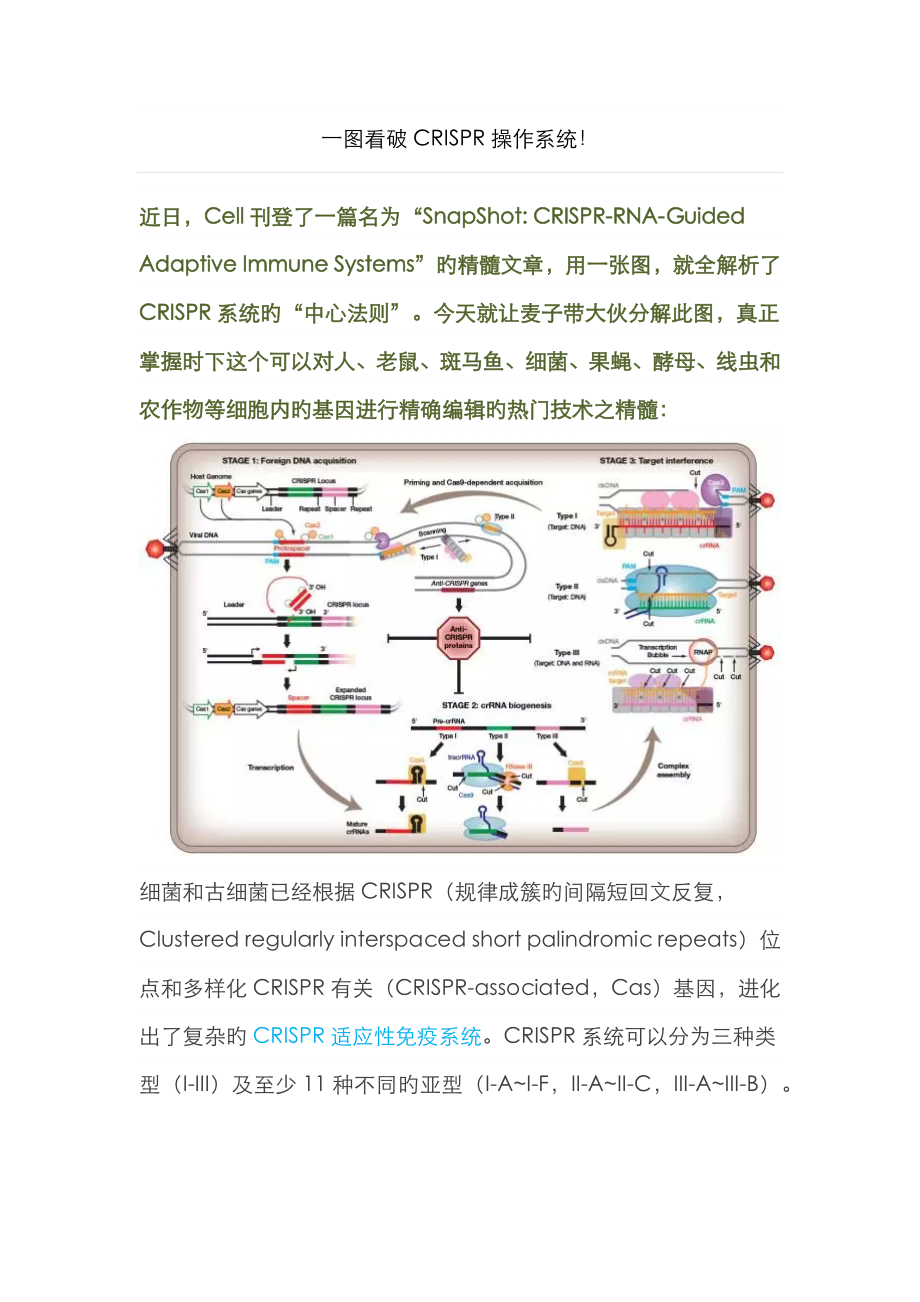 CRISPR操作系统(原理)_第1页