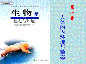 人教版教学教案云南省弥勒县庆来中学生物必修3人体的内环境与稳态3课件