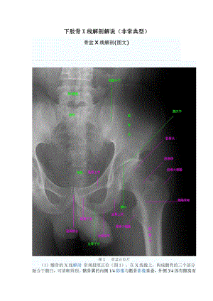 下肢骨X线解剖讲解(非常经典)