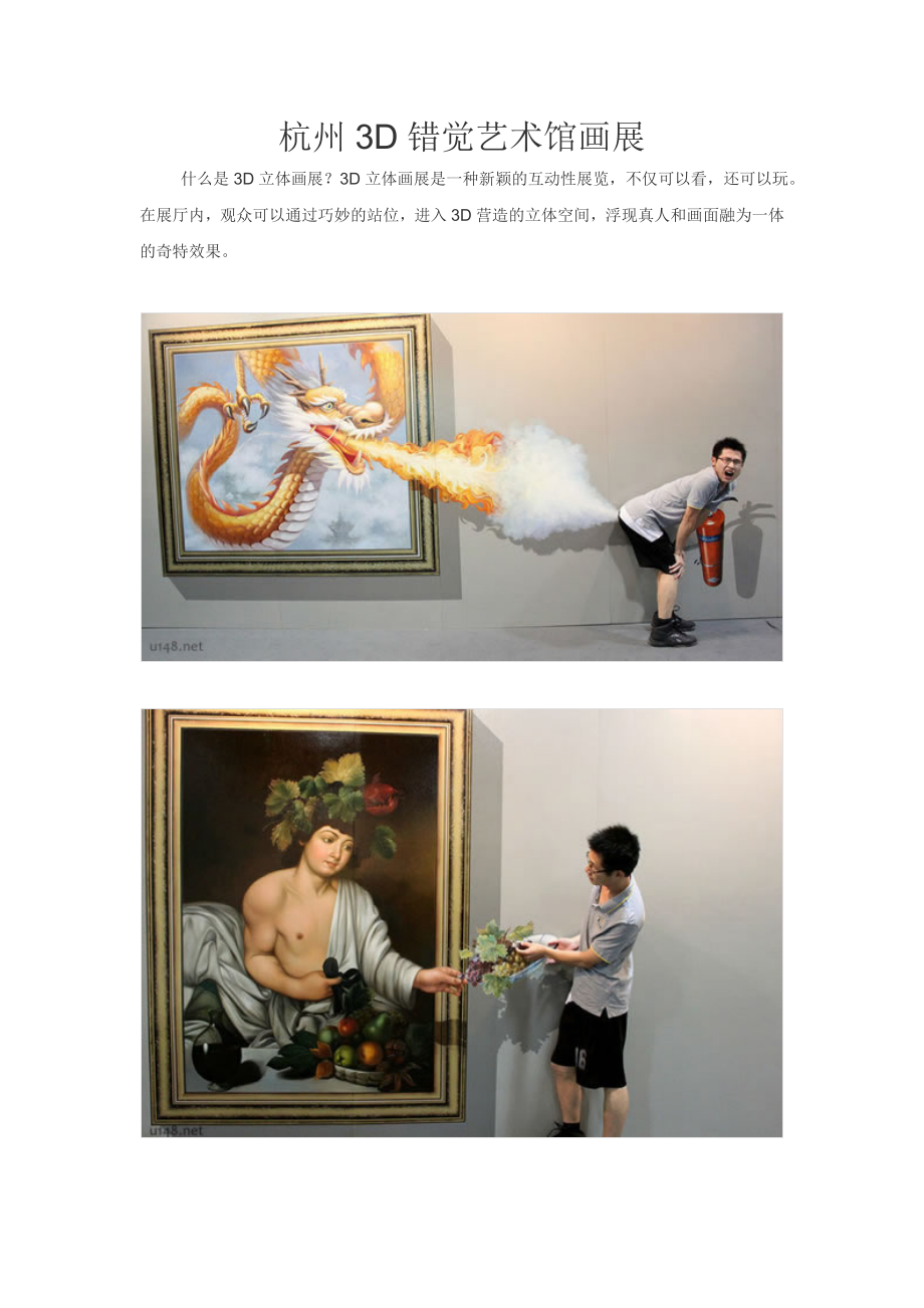 杭州3D错觉画展_第1页