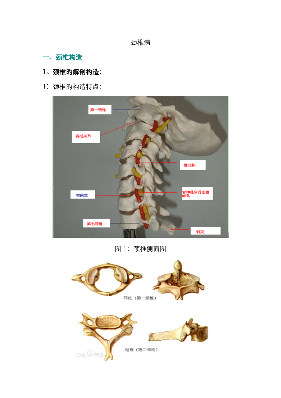 颈椎病内容整理(多图)_第1页