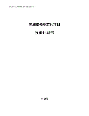 芜湖陶瓷型芯片项目投资计划书（范文参考）