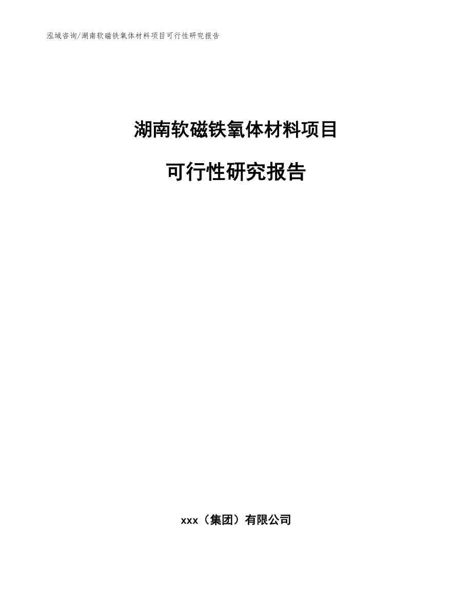 湖南软磁铁氧体材料项目可行性研究报告_第1页