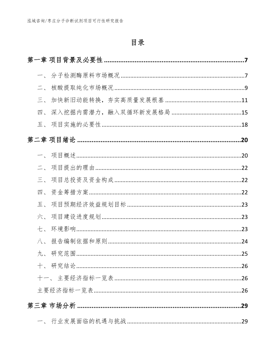 枣庄分子诊断试剂项目可行性研究报告_第1页