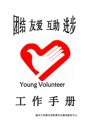 青年志愿者工作标准手册