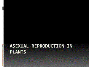 植物的无性繁殖