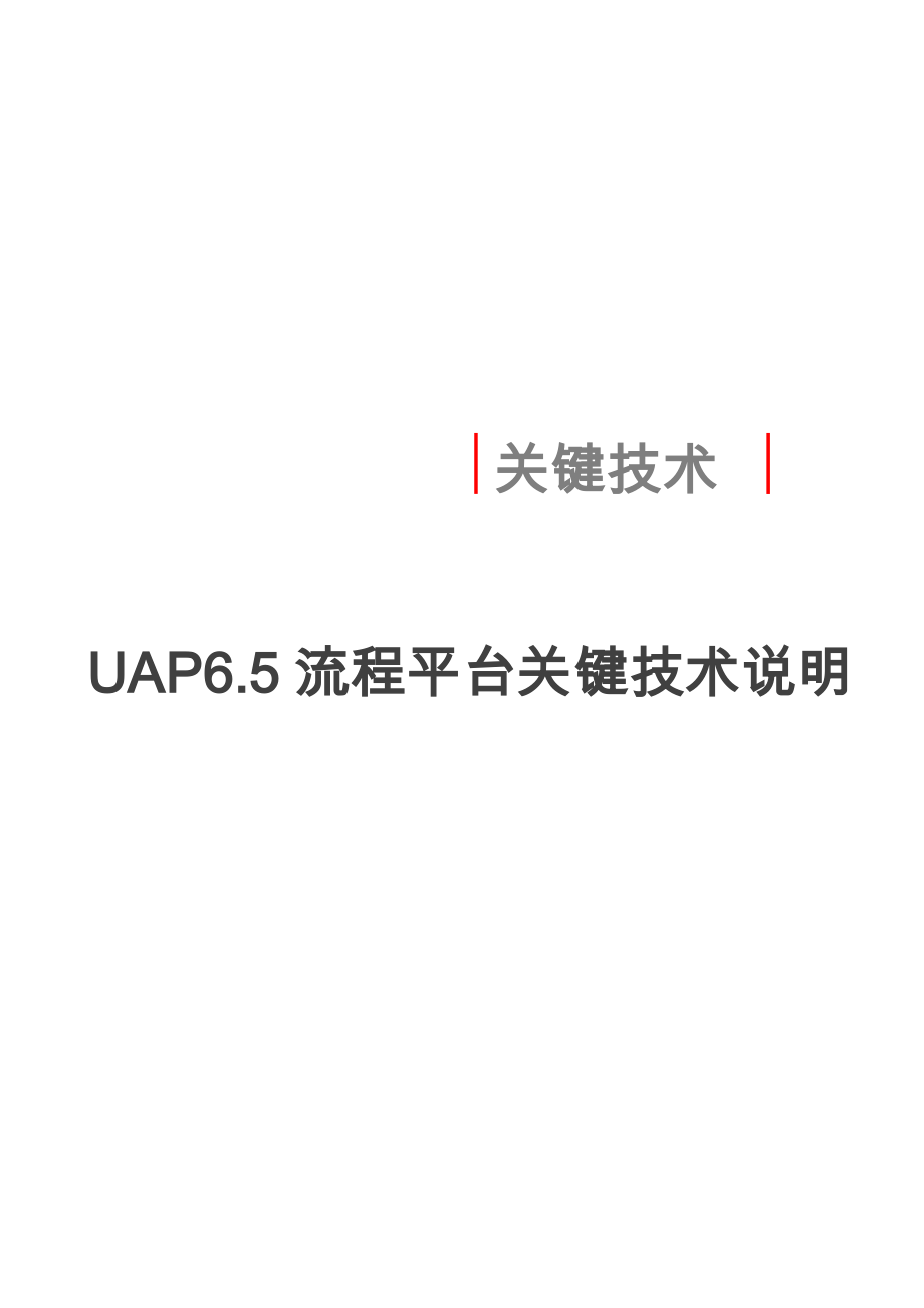 UAP.-RIA流程平台关键技术说明format_第1页