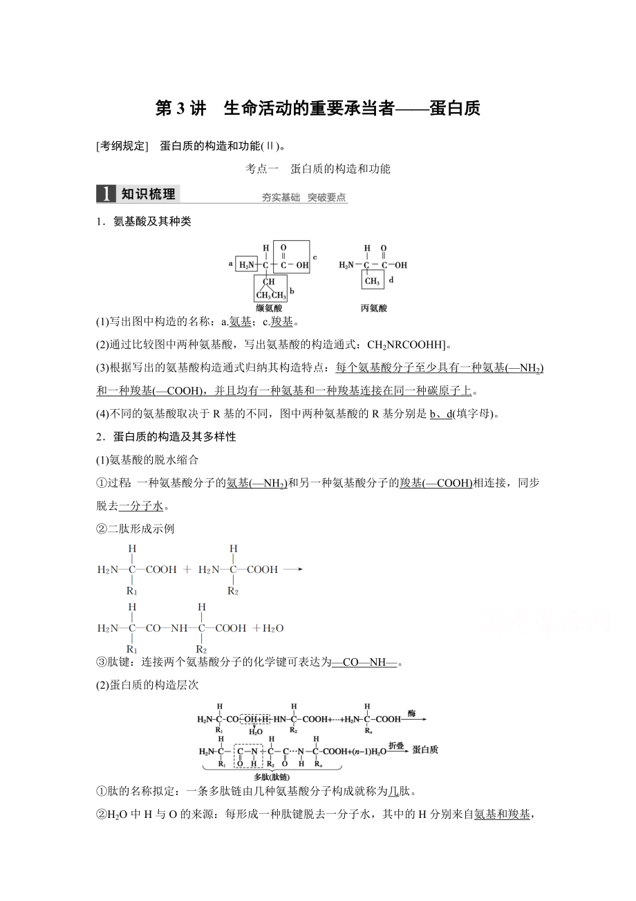 高考生物大一輪總復(fù)習(xí) 第一單元 走進(jìn)細(xì)胞與組成細(xì)胞的分子 第3講 生命活動(dòng)的主要承擔(dān)者——蛋白質(zhì)_第1頁(yè)