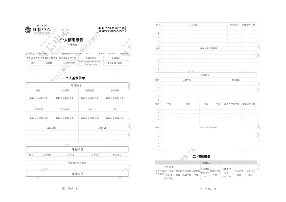 个人征信报告模板征信报告模板带水印_第1页