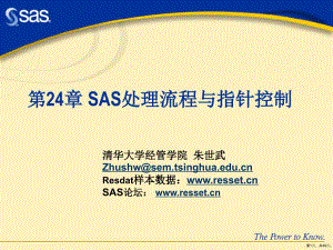 SAS编程技术SAS处理流程与指针控制课件(PPT 49页)