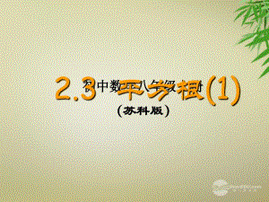 江苏省金湖县八年级数学上册平方根教学课件（）苏科版