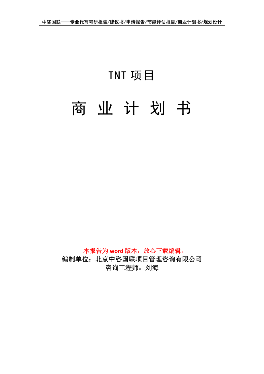 TNT项目商业计划书写作模板_第1页