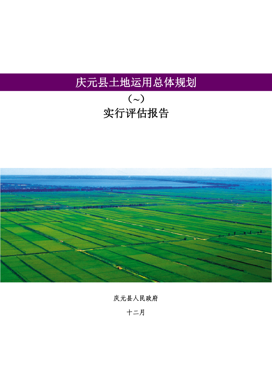 庆元县土地利用总体重点规划评估综合报告_第1页