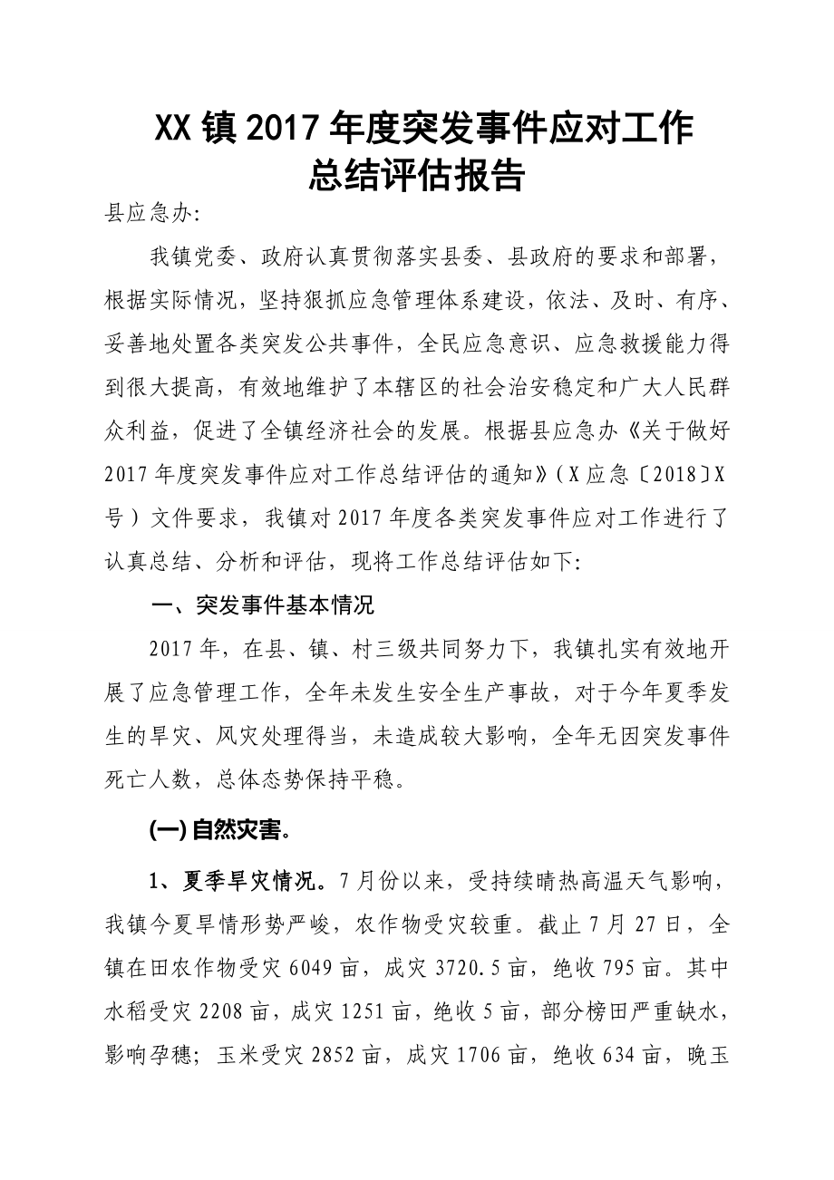 年度各类突发事件应对工作总结评估报告_第1页