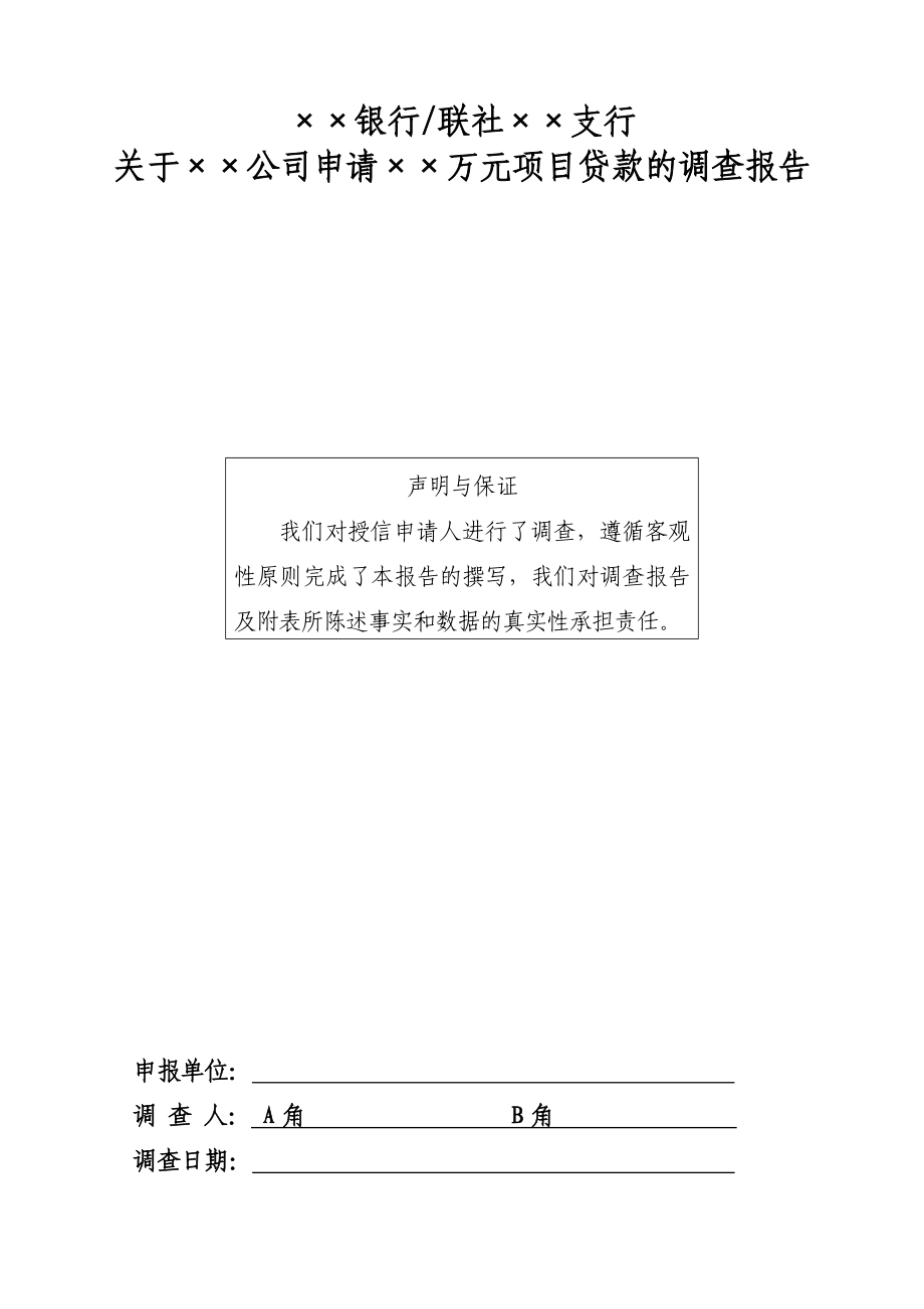 项目贷款调查报告模板2_第1页