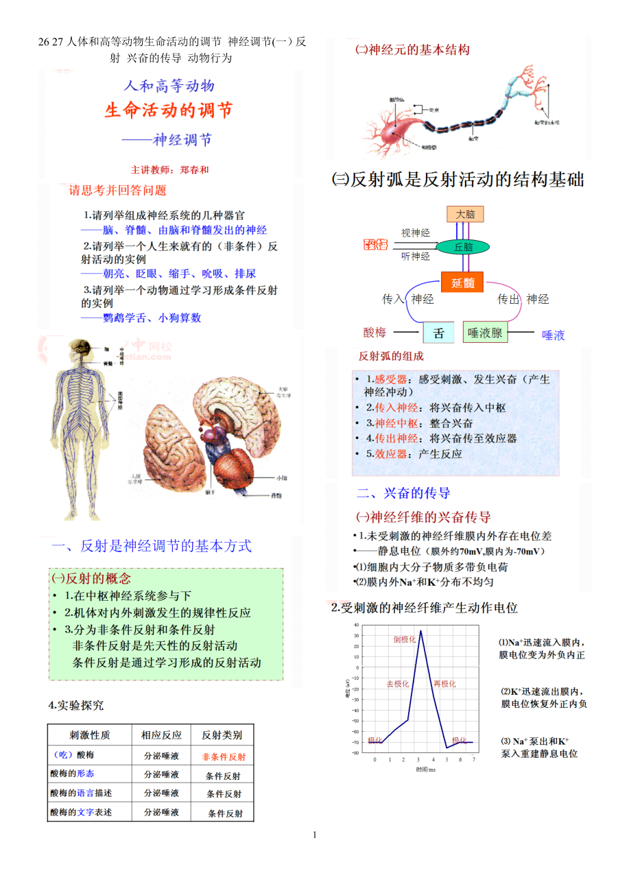 人體和高等動(dòng)物生命活動(dòng)的調(diào)節(jié) 神經(jīng)調(diào)節(jié)一反射 興奮的傳導(dǎo) 動(dòng)物行為_第1頁(yè)