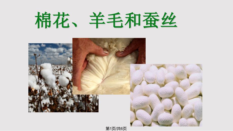 天然材料—棉花羊毛和蚕丝_第1页