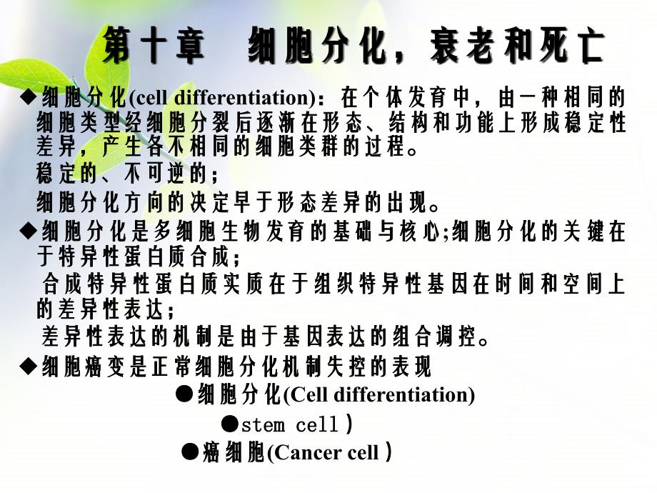 第十章细胞分化衰老和死亡_第1页