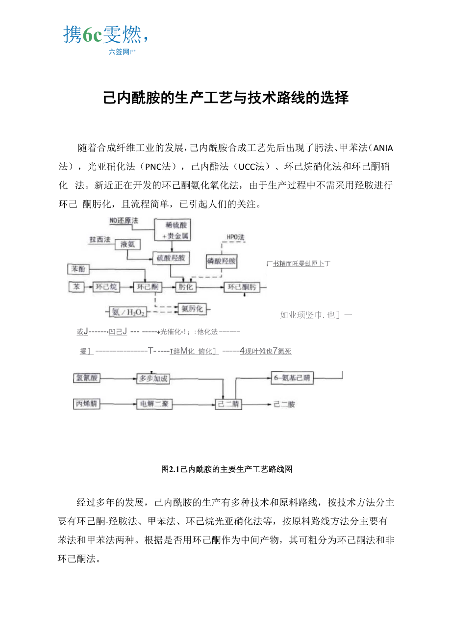 己内酰胺的生产工艺与技术路线的选择_第1页