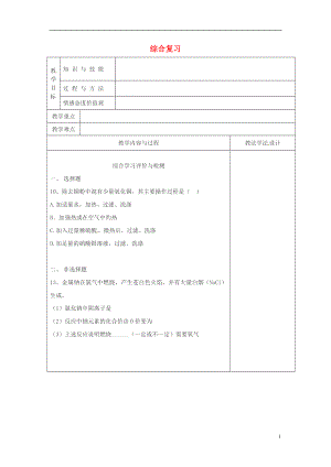 吉林省长春市双阳区九年级化学下册 综合复习（一）教学案（无答案）（新版）新人教版