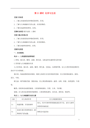 2017屆中考化學一輪復習 第21課時 化學與生活學案