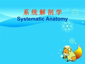 系统解剖学绪论、骨学GeneralIntroduction、Osteology